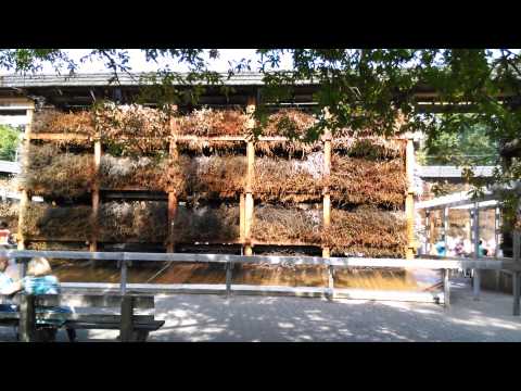 Konstancin-Jeziorna, tężnie