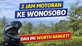 Download lagu Hidden Gem Wonosobo! Kebun Teh Gratis, View-nya Bikin Betah 🌿 mp3