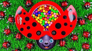 3 Minutes Satisfying ASMR | Color Slime & Beautiful Beads with LadyBug Full of Skittles Candy Video