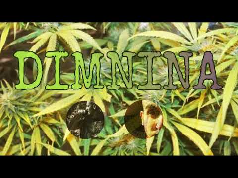 DJENIRO x COJO - DIMNINA ( 2021 )