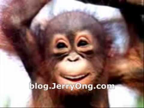 Happy Birthday Monkey Version