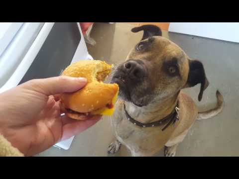 Jacky Bois horks another burger.