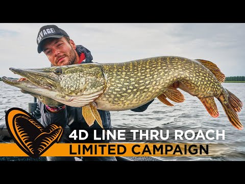 Uzbrojona Guma Savage Gear 4D Lt Roach 18cm 80g Ss Golden Ambulance film wideo