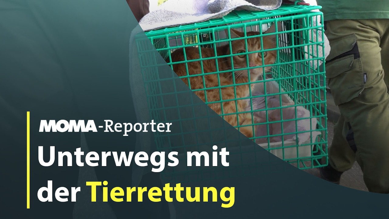 MOMA-Reporter: Tierretter im Einsatz I ARD Morgenmagazin