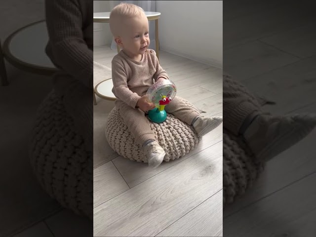 Музична іграшка – Колесо-кружлялка
