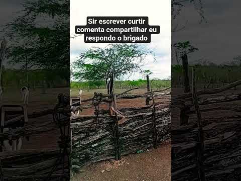 Sir escrever curtir comenta compartilhar   nao  choveu  a qui    ipira Bahia