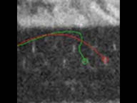 DARPA успешно протестировало самоуправляемые пули для поражения невидимых целей. Фото.