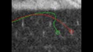 EXACTO Demonstrates First-Ever Guided .50-Caliber Bullets