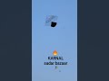 Patang Manja Shorts Trending Status