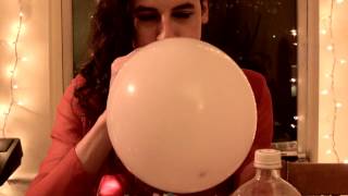 Regal Degal - Delicious (Music Video)