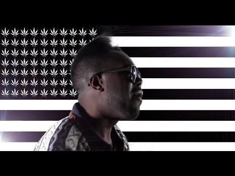 Proper Villains & Reid Speed - We Love the Blunts feat. Dances With White Girls (Music Video)