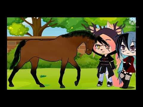 Ma che bel nome (original)