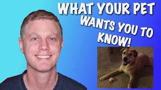 What My Dead Dog Said To Me (Pet Loss Grief) | Zach Tavcar
