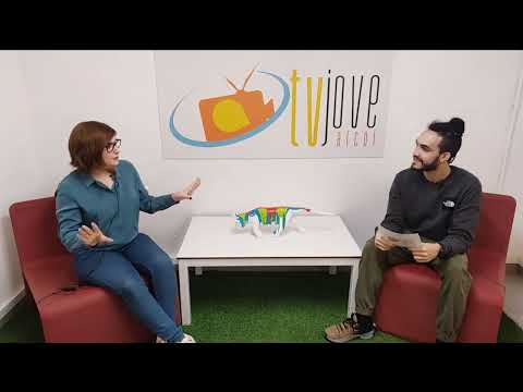 ESPAI ENTREVISTES - LAURA TÁRRAGA