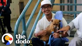 Man Sentenced To Life Finds Purpose Training Shelter Dogs | The Dodo