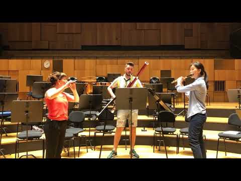 Haydn London trio No.1 for 2 flutes and bassoon I. Allegro moderato