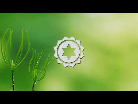 Magical Chakra Meditation Chants for Heart Chakra   YAM Seed Mantra Chanting and Music