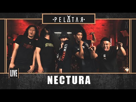 Nectura // PELATAR LIVE