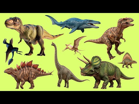 Learn 25 Dinosaur Names in English 🦖 | Listen and Repeat with Audio