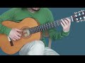 Canto Ostinato Simeon Ten Holt Guitar Cover