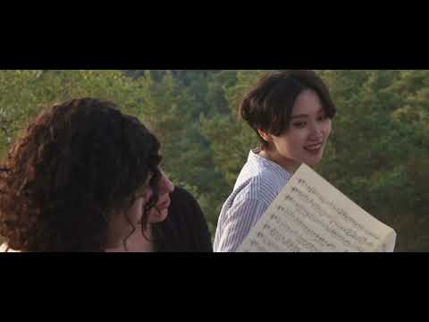 Fontainebleau, Perpetual Wonder