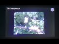 Wonder Pets Ming Ming In Save The Duckling Of Series 1 US Dub