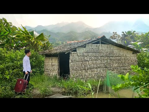 FULL VIDEO : Doctor Jack's 30 day journey from the city to the woods to build his own farm