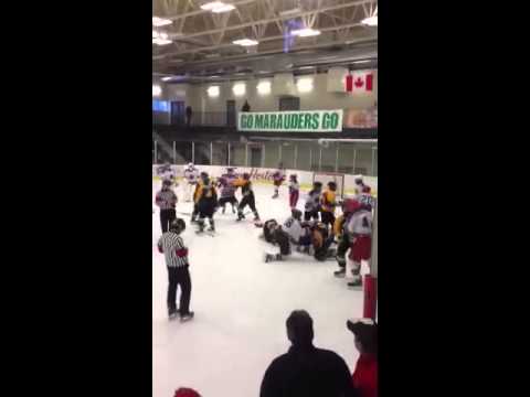 Midget A bench clearing brawl
