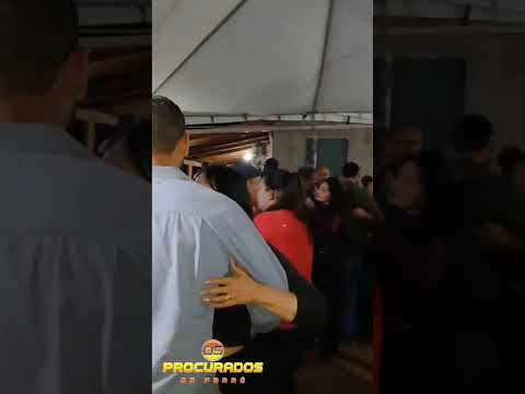 7 de dezembro de 2025