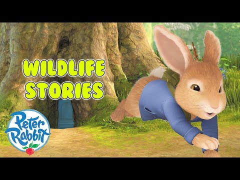 @OfficialPeterRabbit | 💕⛅️Wildlife Wonders And Wellbeing 🍃🐇 | 20+ Mins | Cartoons For Kids