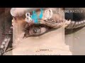 Suroor Sad Song Neha Kakkar 8D Me
