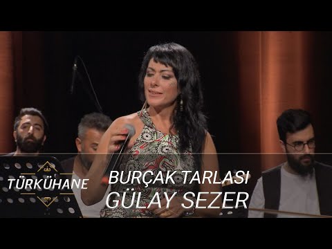 Türkühane I Gülay Sezer - Burçak Tarlası