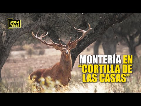 HUNTING IN CORTILLA DE LAS CASAS