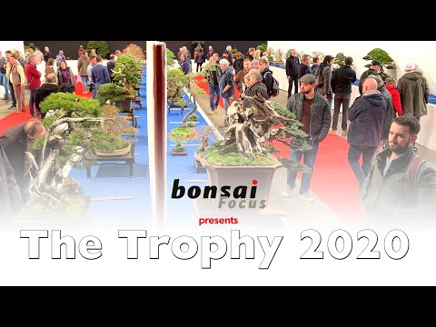 The Trophy 2020