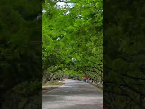 El hermoso Jesús de otoro intibuca