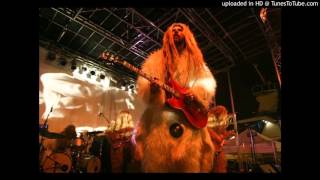 Super Furry Animals - A Frosty Night in Gothenburg