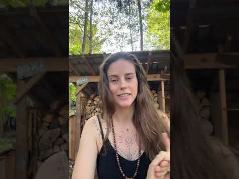 Can BURNING WOOD be ethical?