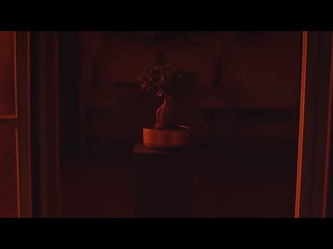 João Maia Ferreira - Kenshin