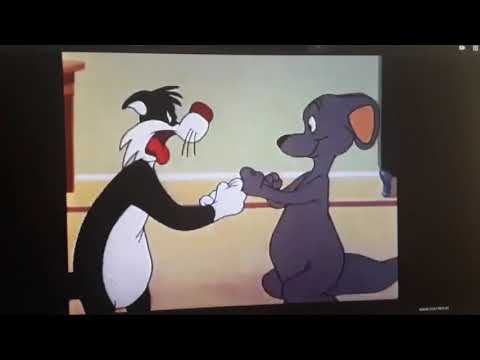 The Sponge King Part 6 - I Just Can't Wait to be King