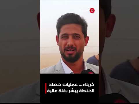 فيديو | كربلاء... عمليات حصاد الحنطة يبشر بغلة عالية
