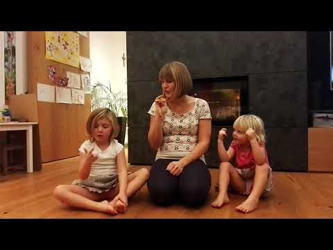 147 Alle meine Fingerlein wollen heute Tiere sein