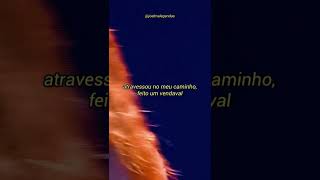 Vendaval - Banda Calypso (Ao vivo em São Paulo/2003)