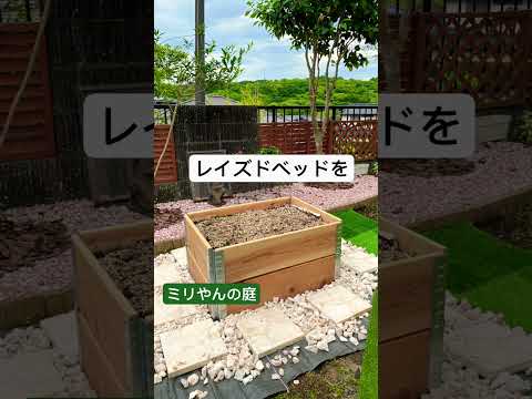 ウォールフラワー