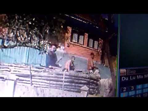 Localnicii din Lihulești, terorizați de un consătean-hoț de lemne!