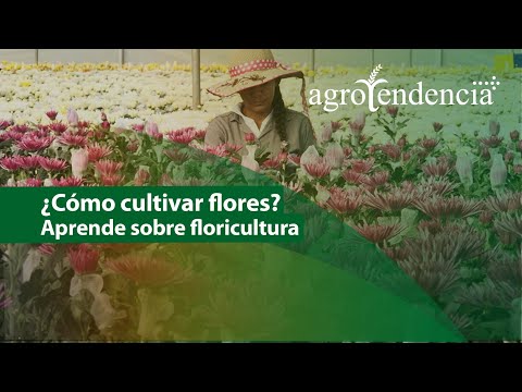 Floricultura | El arte de cultivar FLORES