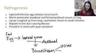 Ascaris lumbricoides