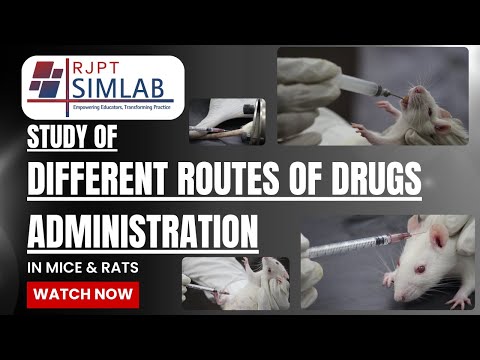 Study of Different Routes of Drug Administration in Mice & Rats | RJPT Simlab