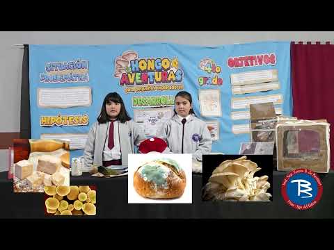 HONGO AVENTURAS para pequeños exploradores - 4º grado - ISTBB