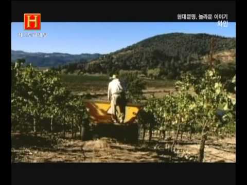 HC] 맛있는 현대문명   와인