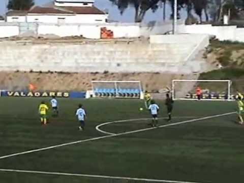 Resumo Torrão-Pedroso